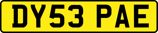 DY53PAE