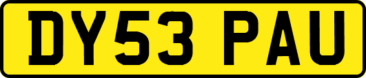 DY53PAU