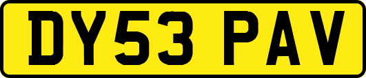 DY53PAV