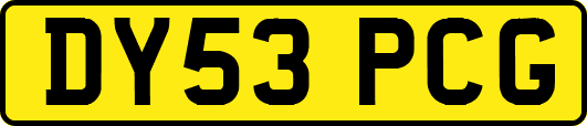 DY53PCG