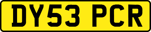 DY53PCR