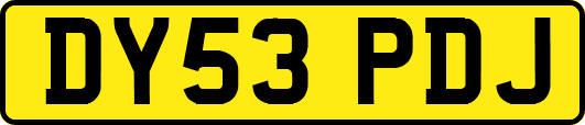 DY53PDJ