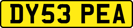 DY53PEA