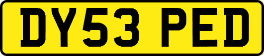 DY53PED