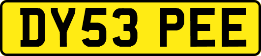 DY53PEE