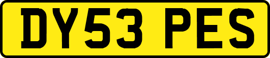 DY53PES