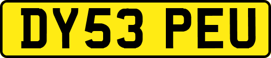 DY53PEU