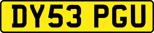 DY53PGU