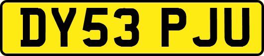 DY53PJU