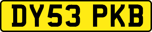 DY53PKB