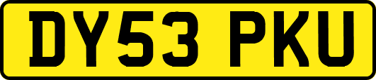 DY53PKU