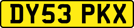 DY53PKX
