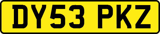 DY53PKZ