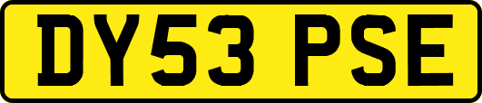 DY53PSE