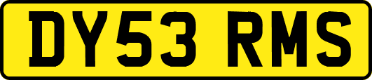 DY53RMS