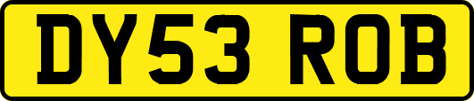 DY53ROB
