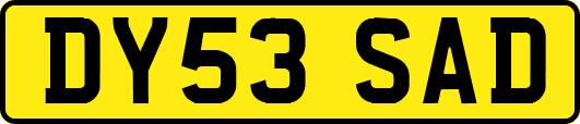 DY53SAD