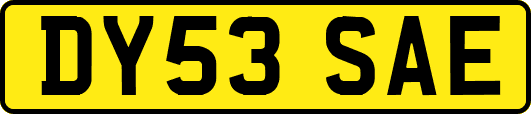 DY53SAE