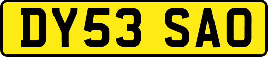 DY53SAO