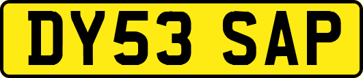 DY53SAP
