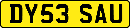 DY53SAU