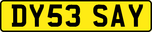 DY53SAY