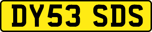 DY53SDS