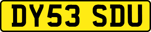 DY53SDU