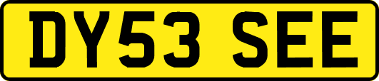 DY53SEE