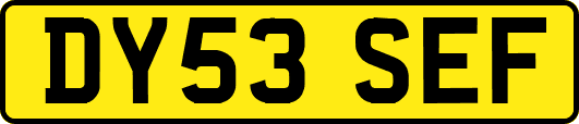 DY53SEF