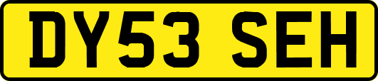 DY53SEH