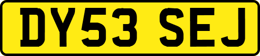 DY53SEJ