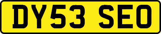 DY53SEO