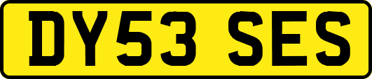 DY53SES