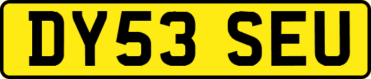 DY53SEU