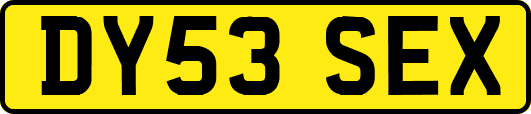 DY53SEX