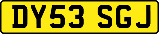 DY53SGJ