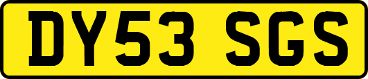 DY53SGS