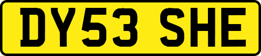 DY53SHE