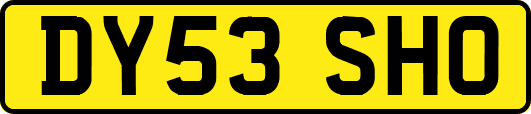 DY53SHO