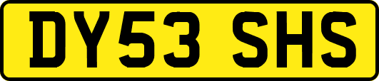 DY53SHS