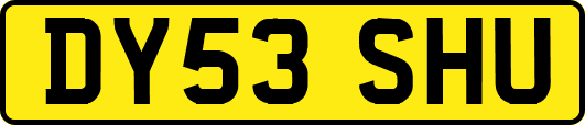 DY53SHU