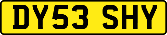 DY53SHY