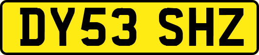 DY53SHZ