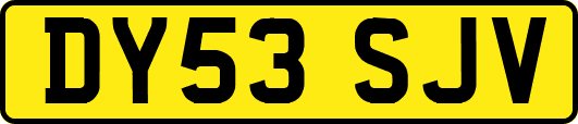 DY53SJV