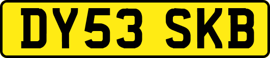 DY53SKB