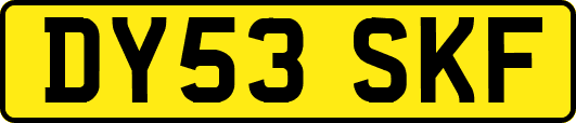 DY53SKF