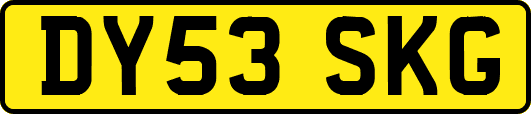 DY53SKG