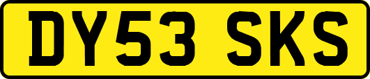 DY53SKS