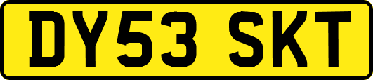 DY53SKT